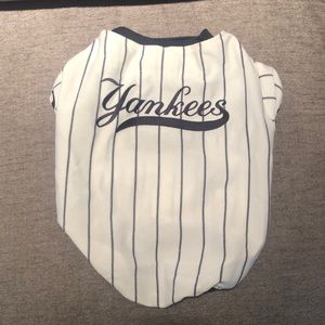 Yankee jersey for medium sized dog